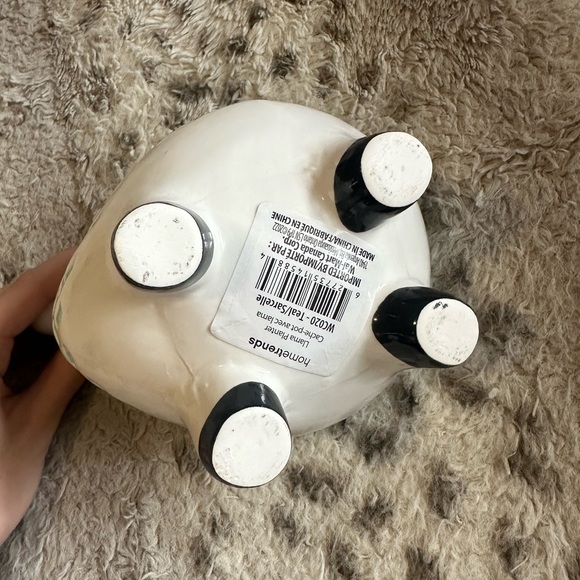 Decorative Llama Pot - Picture 3 of 5